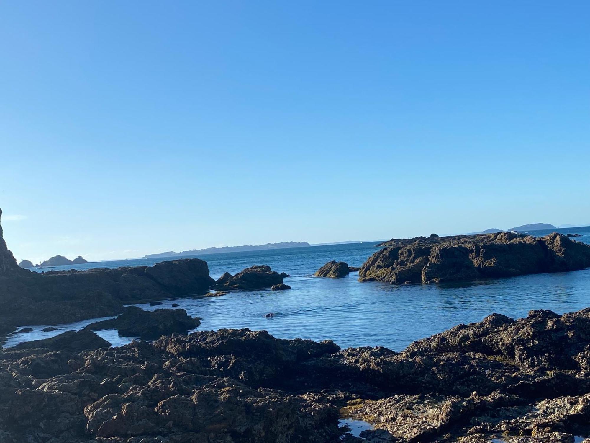 Kereru Cabin - Spectacular Seaviews, Rustic, Glamping Eco Adventure Palm Beach エクステリア 写真